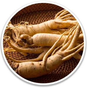 puravive, puravive review, puravive 2023, puravive price, puravive us,buy puravive, puravive reviews, puravive work, puravive pills, puravive supplement, puravive weight loss, puravive buy, puravive ingredients, puravive honest review, puravive customer review, puravive official website, does puravive works, puravive reviews 2023, puravive amazon, puravive bat, puravive capsule, exotic rice method puravive, purevive, purevive review, puravive canada